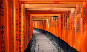 SAKURA ZAMANI JAPONYA-GÜNEY KORE TURU