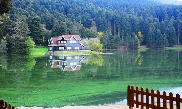 ABANT-GÖLCÜK-SAKARYA-ORMANYA-MAŞUKİYE-BURSA TURU