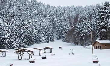 ABANT-GÖLCÜK-SAKARYA-ORMANYA-MAŞUKİYE-BURSA TURU