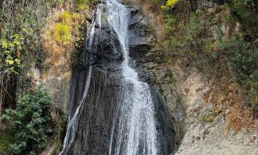 BERGAMA & DİKİLİ TURU